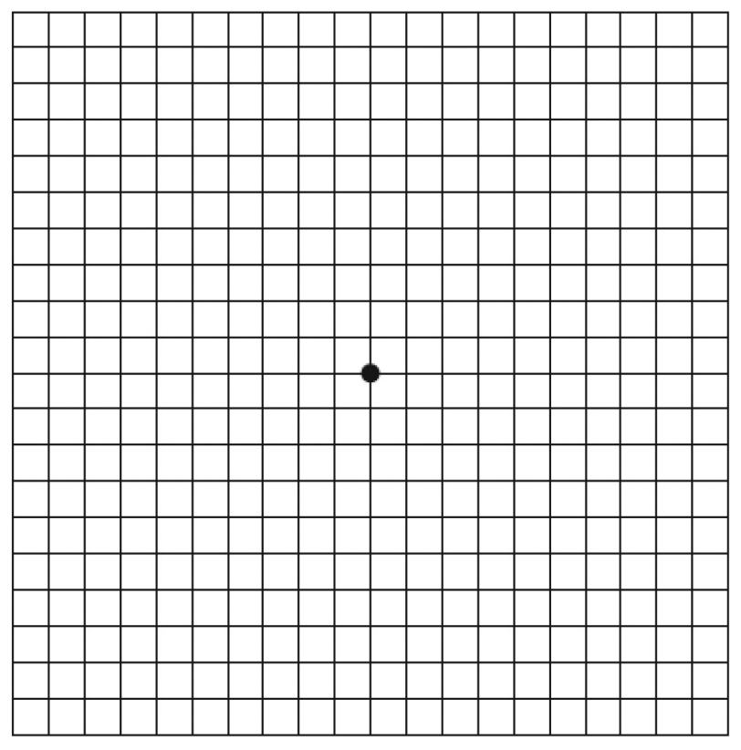 3 In 1 Kit: Amsler Grid & Magnifiers