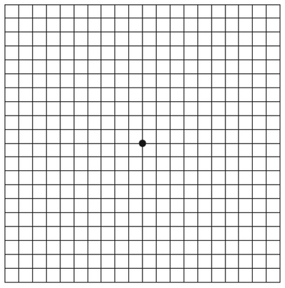 3 In 1 Kit: Amsler Grid & Magnifiers